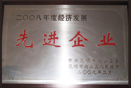 2008年度經(jīng)濟發(fā)展先進企業(yè)